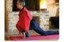 Les cours de Yoga reprennent à la belle verte !