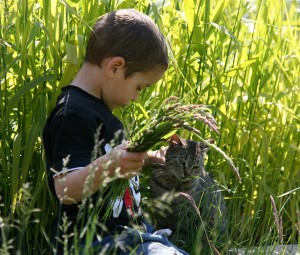 Enfant auprès de la phytoépuration