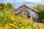 L'Ecolodge La Belle Verte candidate aux palmes du tourisme durable 2017