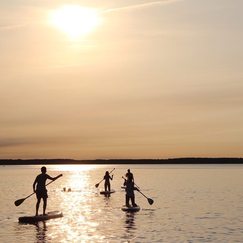 stand-up-paddle-1645433_1280 stand-up-paddle-1645433_1280