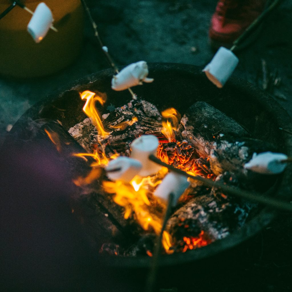 feu de bois