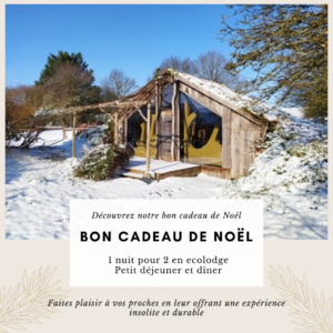 Bon cadeau Noël