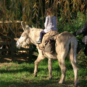 jardin_activités (3)