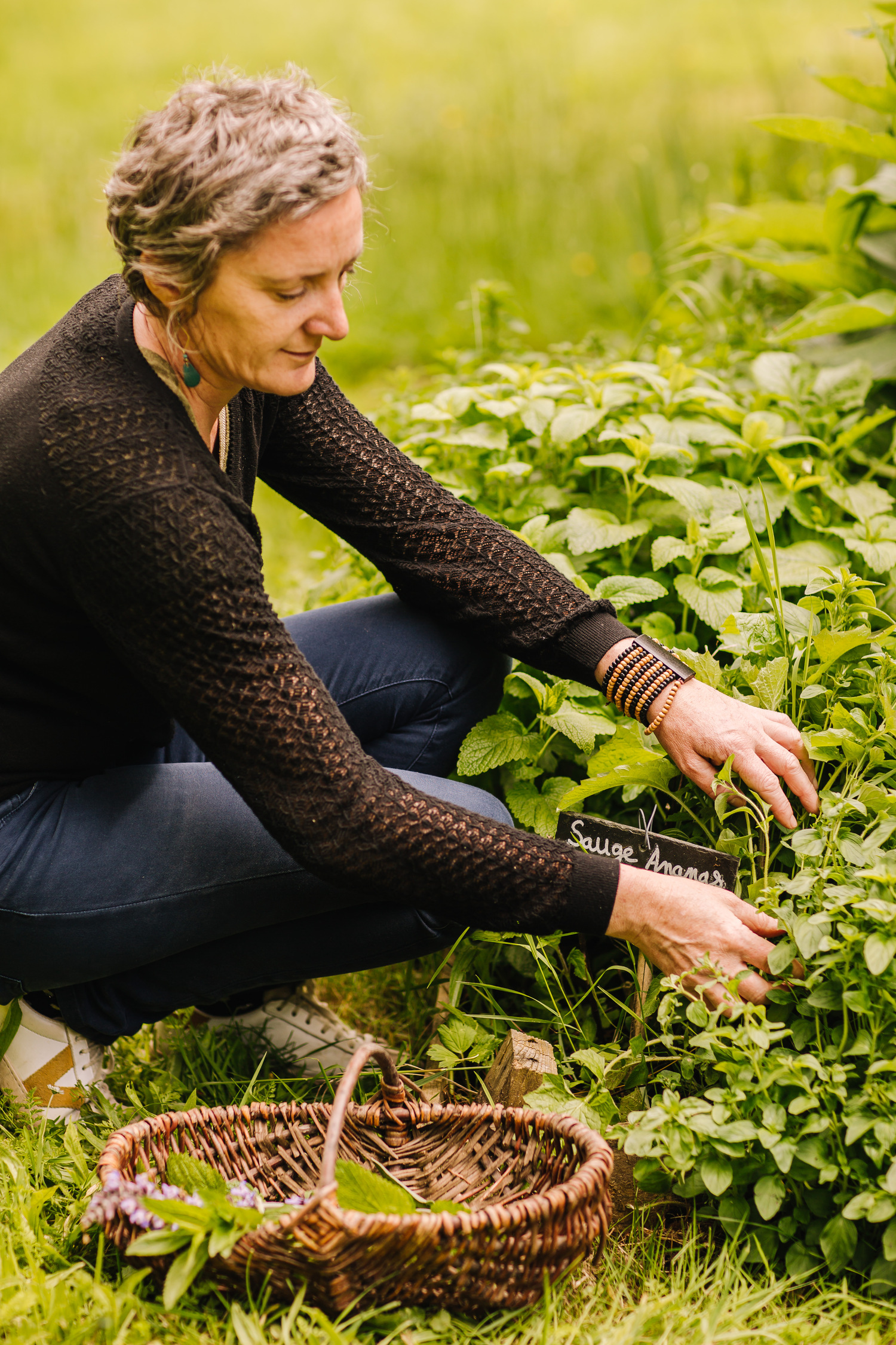 cueillette potager partagé Julie Fauvel