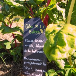 Jardin à la Belle Verte